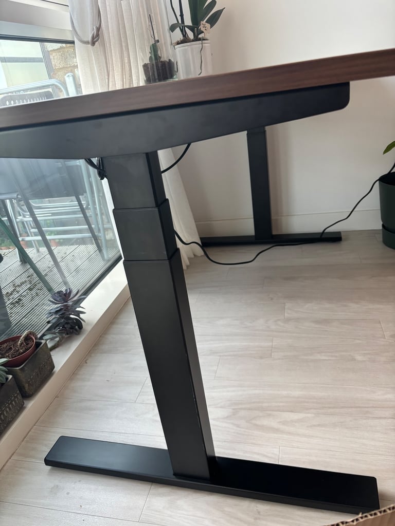 Ergonomic Walnut Standing Desk 80x60 with Memory & Cable Management