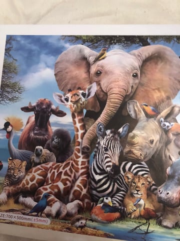 African Animals Diamond Painting Kit