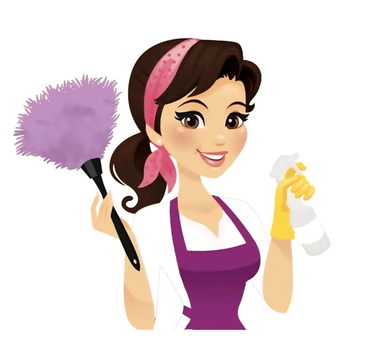 Domestic cleaner 