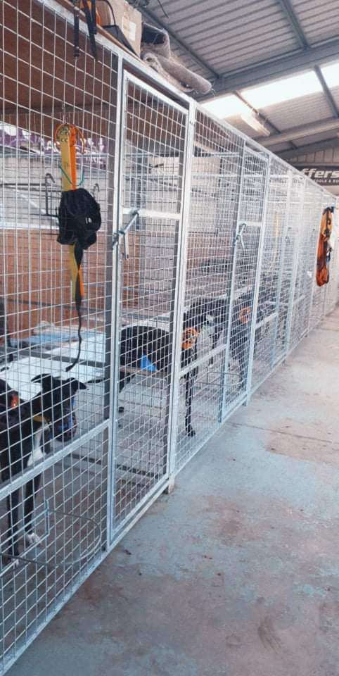 New galvanised dog cages pens enclosures  and kennels