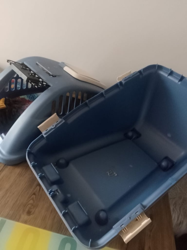 Cat travel carrier with storage 