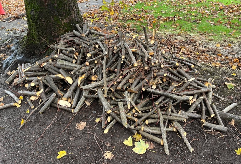 image for Hardwood logs free