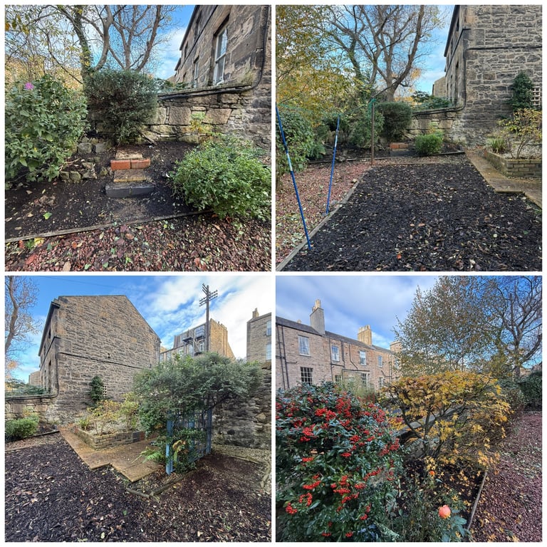 Gardening services: Hedge trimming, weeding & shrubs removal Edinburgh