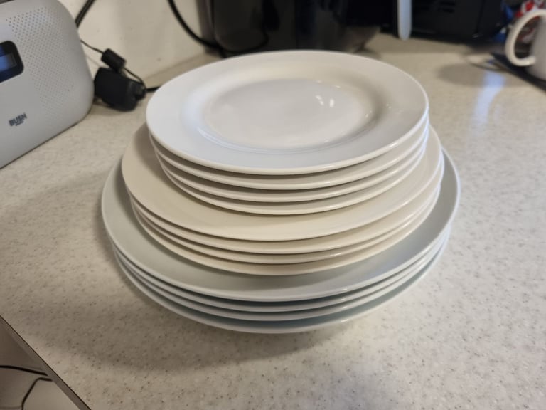 image for 12 plate set