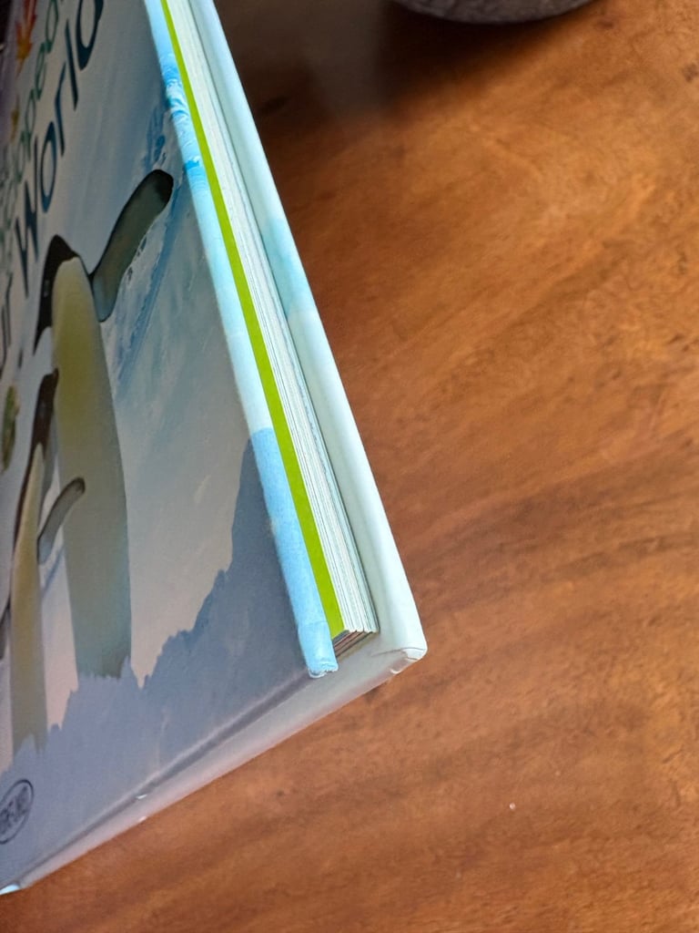 Usborne First Encyclopedia of our World 🌎