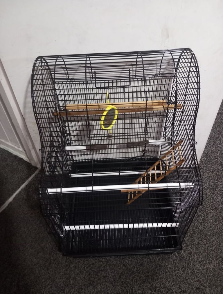 Birds Cage