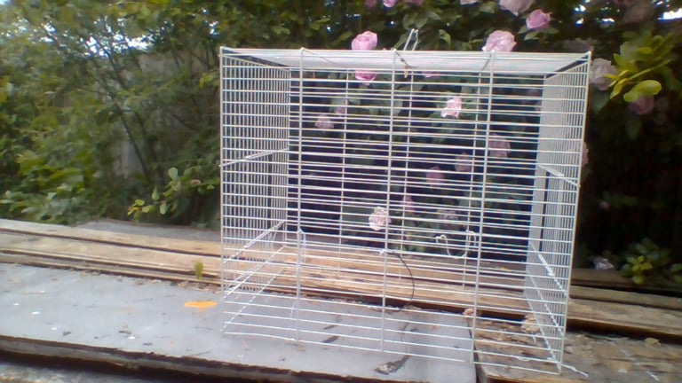 cage for sale 