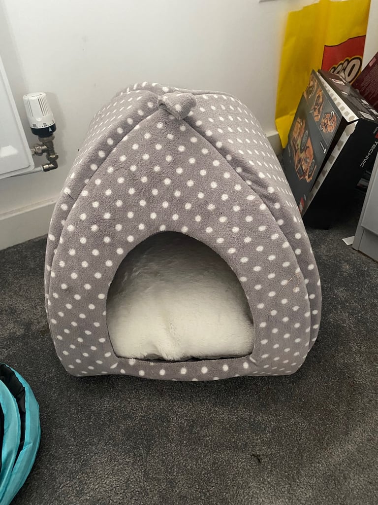 Cat bed and tunnel 