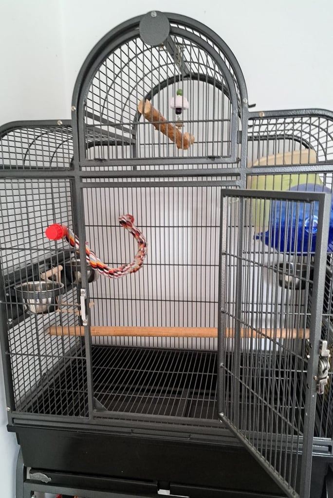 Parrot cages for sale - Gumtree