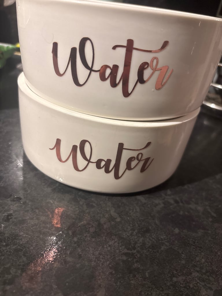 X2 water dog bowls personalised 