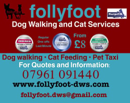 Dog Walking and Cat Services 