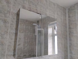 FREE Steel Mirrored bathroom cabinet