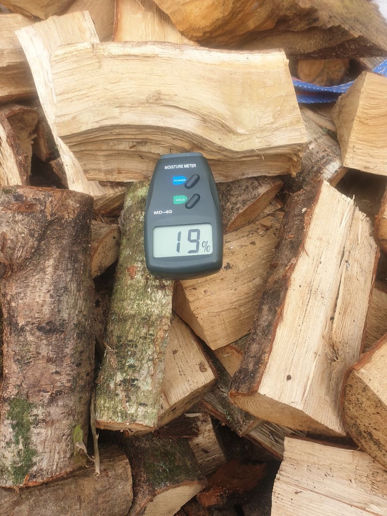 image for Seasoned oak logs