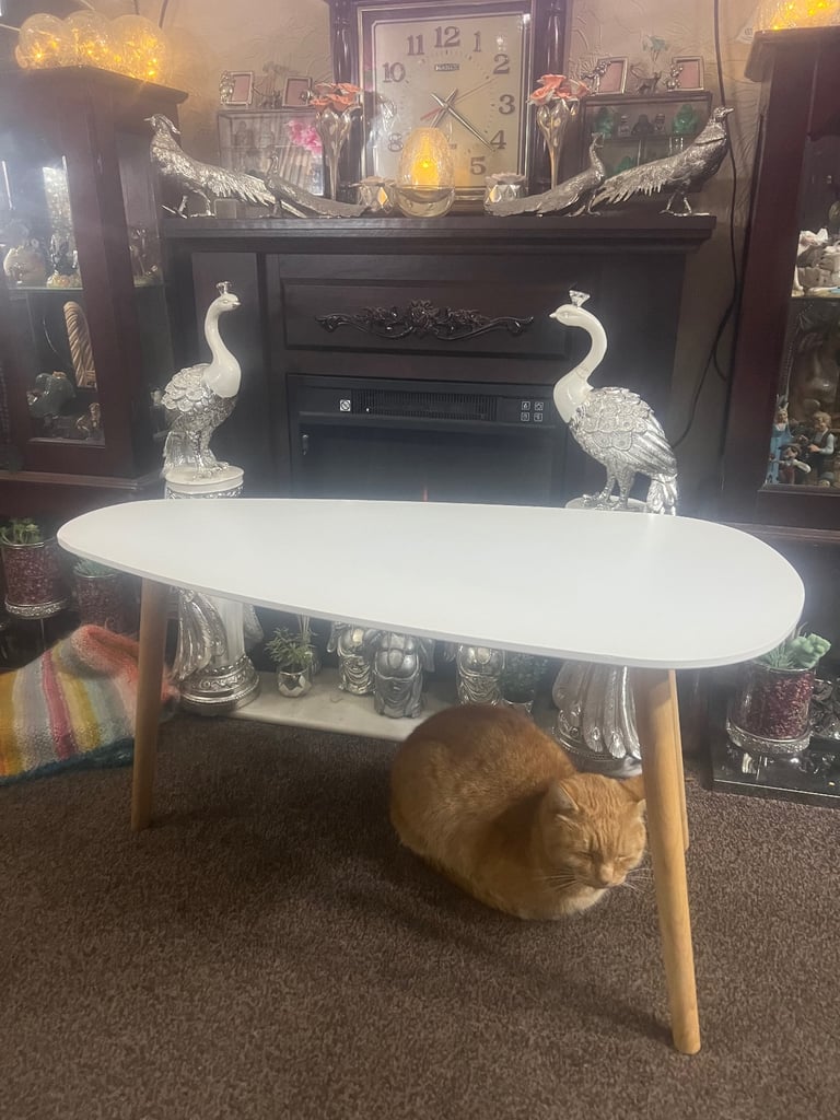 Modern style coffee table