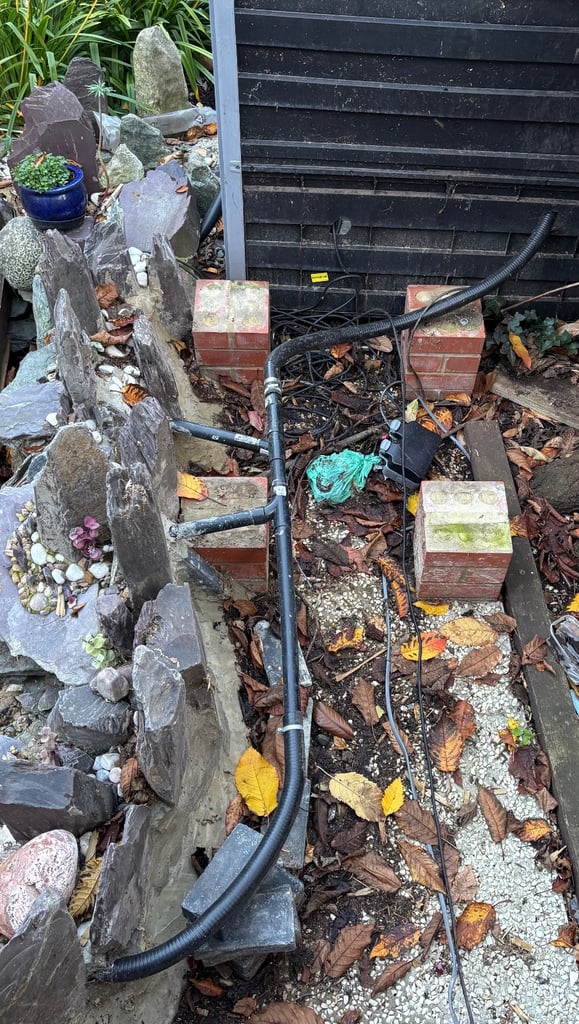 Free pond filter and container