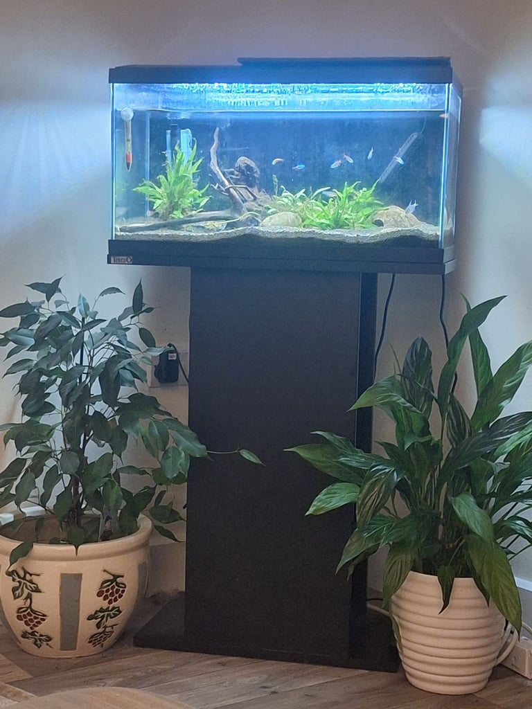 Aquarium fish tank with stand 