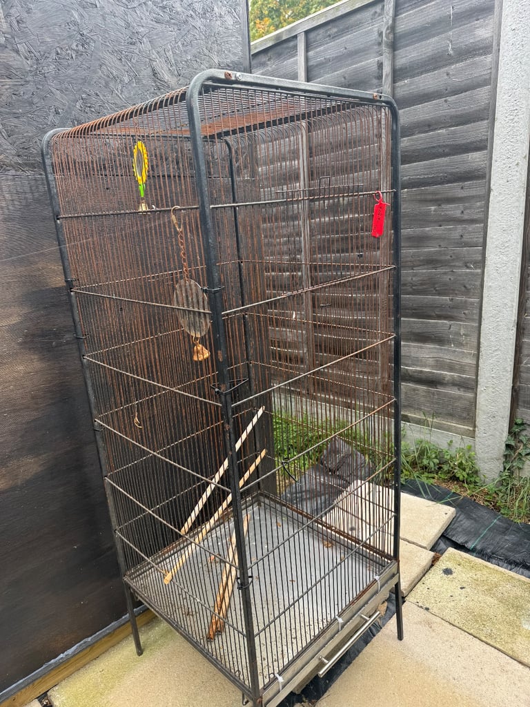 Birds cage 