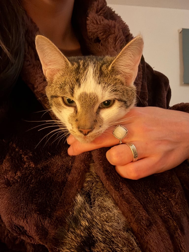 Only 2 Beautiful Babies Left