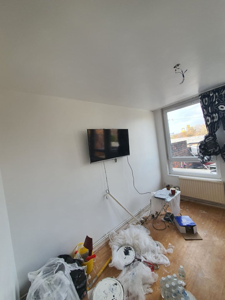 Painting & plastering services 