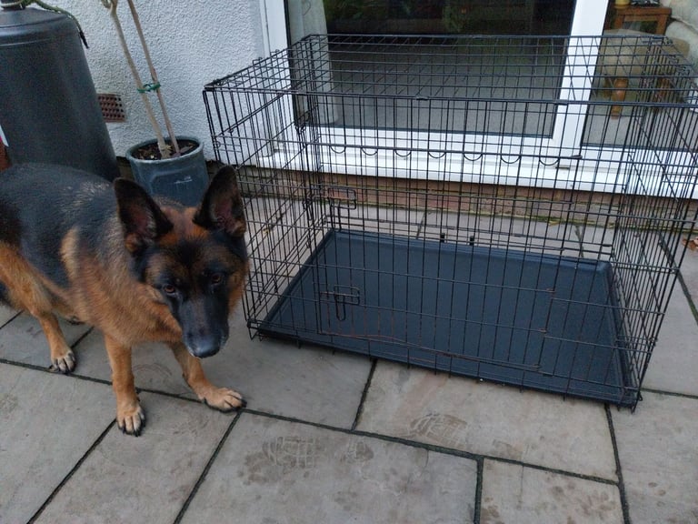 Gumtree puppy crate best sale