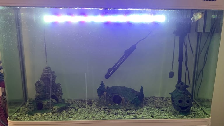 250lt fish tank