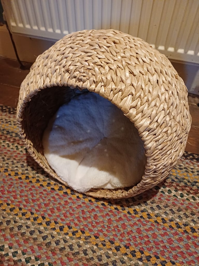 image for Free! Cat bed basket