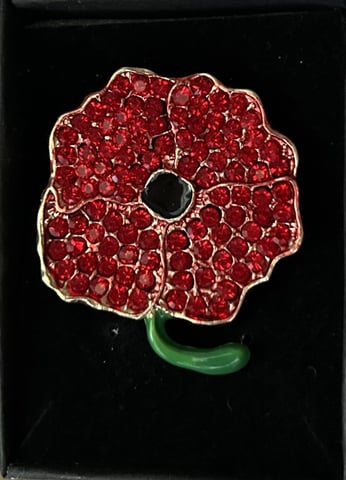 Diamante Poppy Brooch Ideal Xmas gift in Southampton Hampshire Gumtree