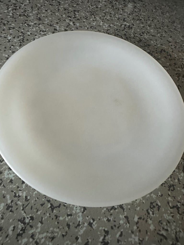 Pyrex oven proof plate 