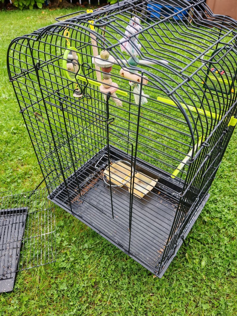 Budgie cage