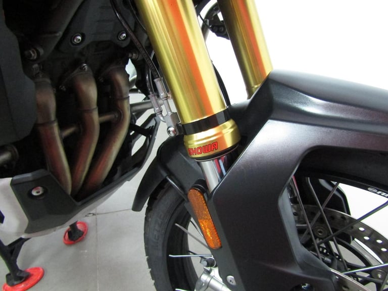 2025 Triumph Tiger 1200 Rally Explorer