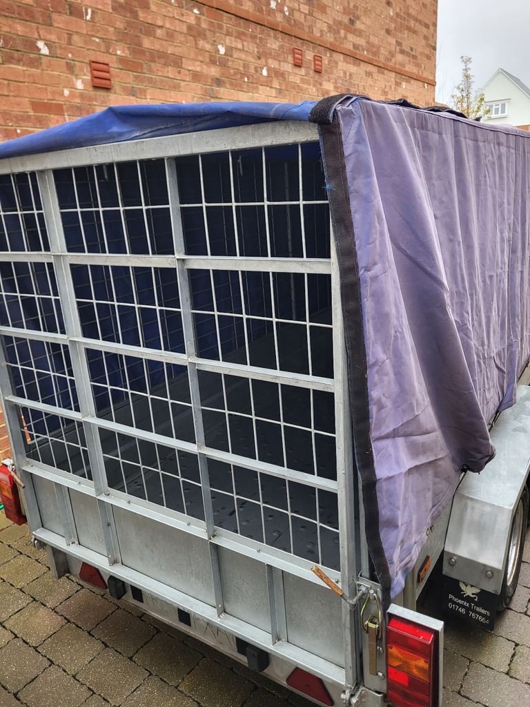  Phoenix 9`6" x 4`6" General Purpose Twin Axle Trailer.