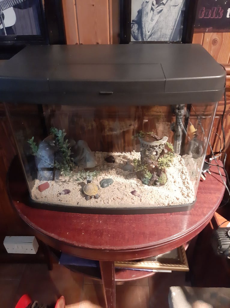 Fish tank for sale 
