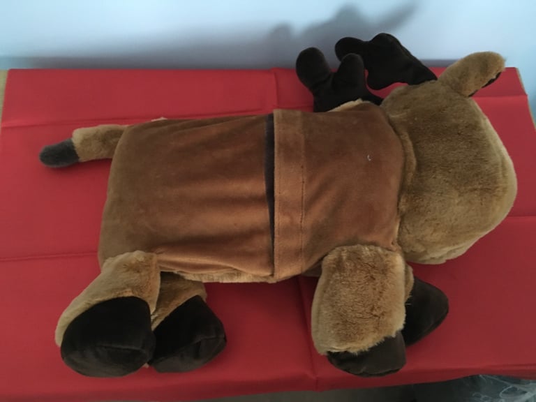 Rudolf the Red-Nosed Reindeer night wear case