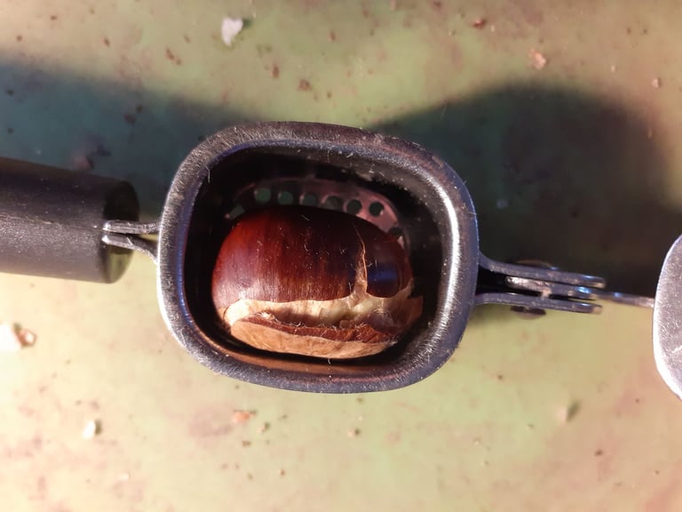 snack size English Sweet Chestnuts x 80 - open with a garlic press