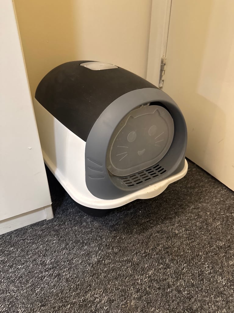 image for cat litter box