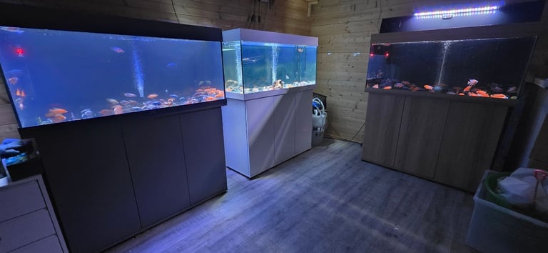 image for Fish tanks