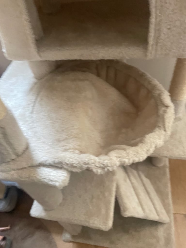 cat tree beige 