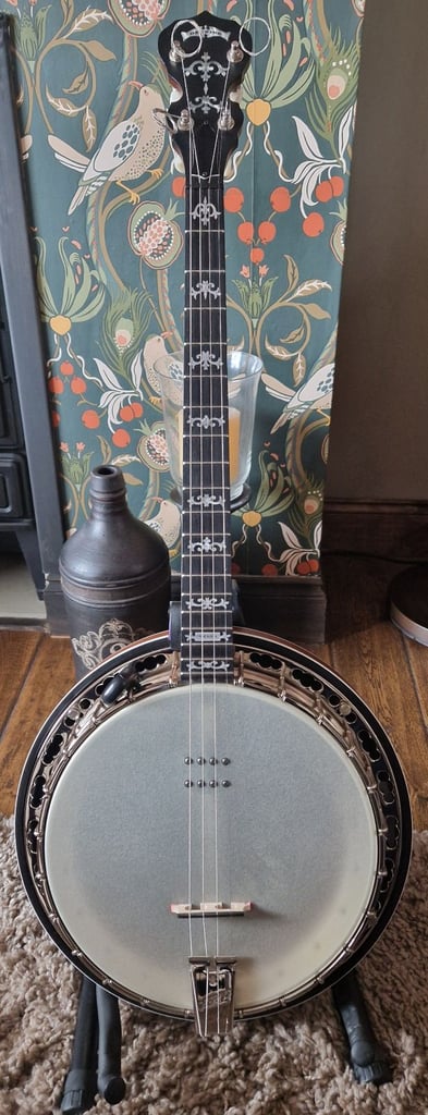 Deering seirra mahogany tenor banjo. 