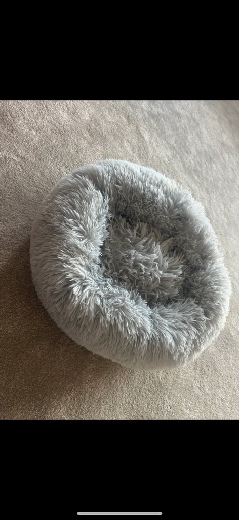 Small grey fluffy dog or cat bed pets at home