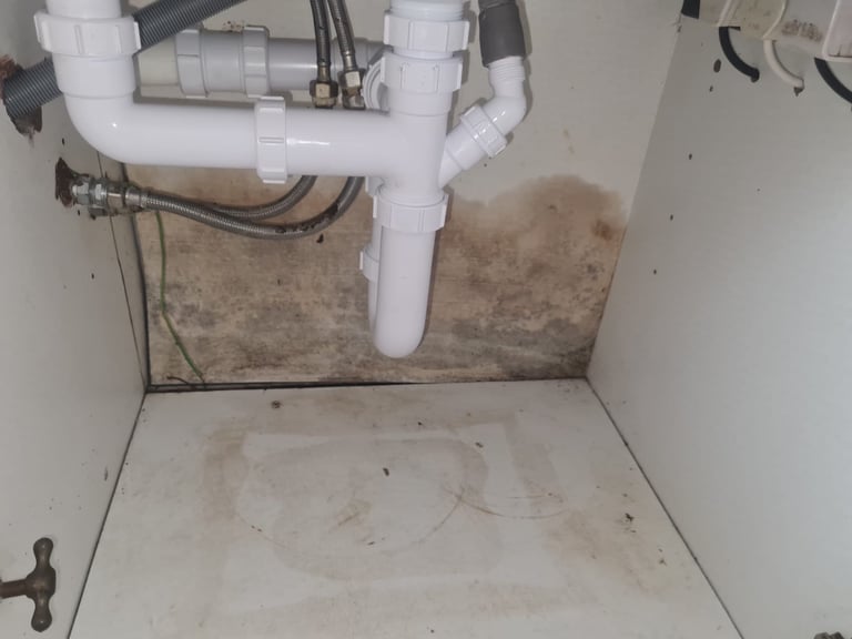 Reliable, local plumber to your area