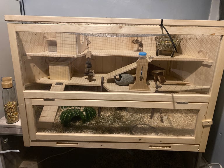 3 gorgeous gerbils in a 3 tier cage in need of a loving home