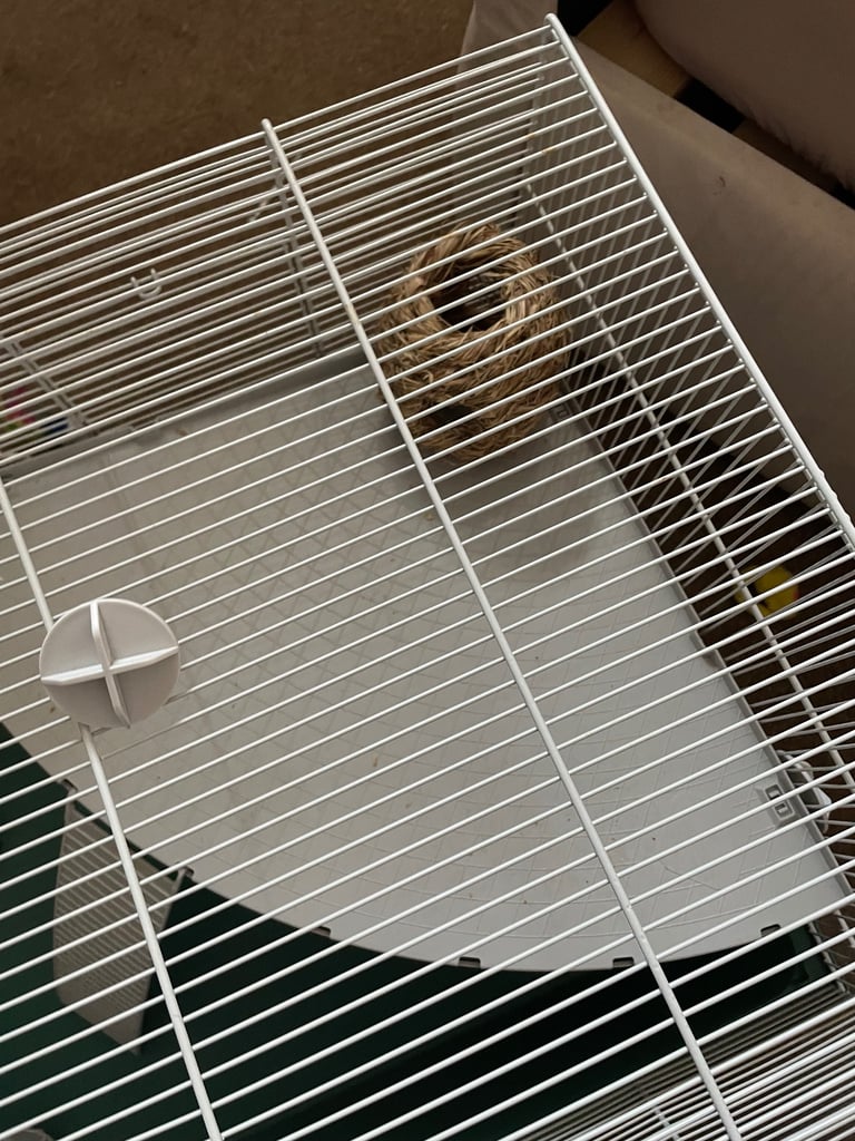 Large hamsters gerbils etc cage 