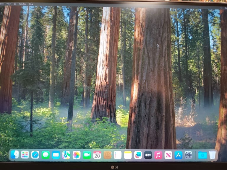 **APPLE IMAC 21.5" 4K - macOS SEQUOIA - 3.1 GHZ I5 - 1TB SSD - 8GB RAM - 2015**