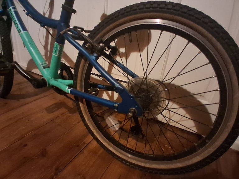 Kids Bike 20inch Pinnacle Ash