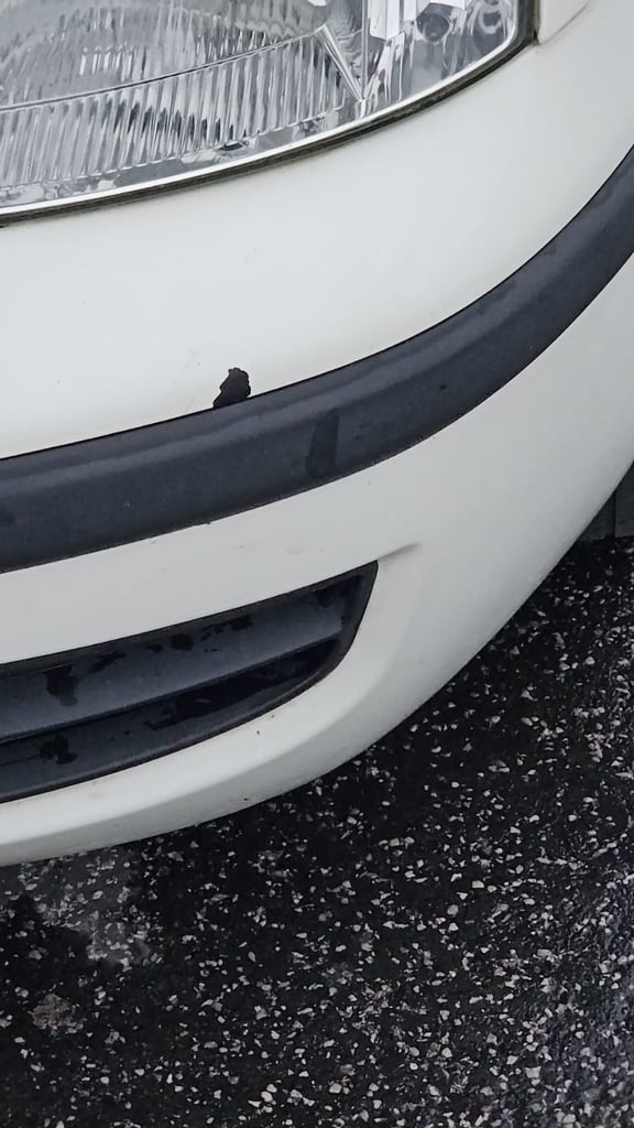 Fiat, PANDA, Hatchback, 2010, Manual, 1108 (cc),5 doors - Image 4
