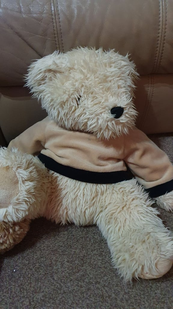 Little scruff soft teddy