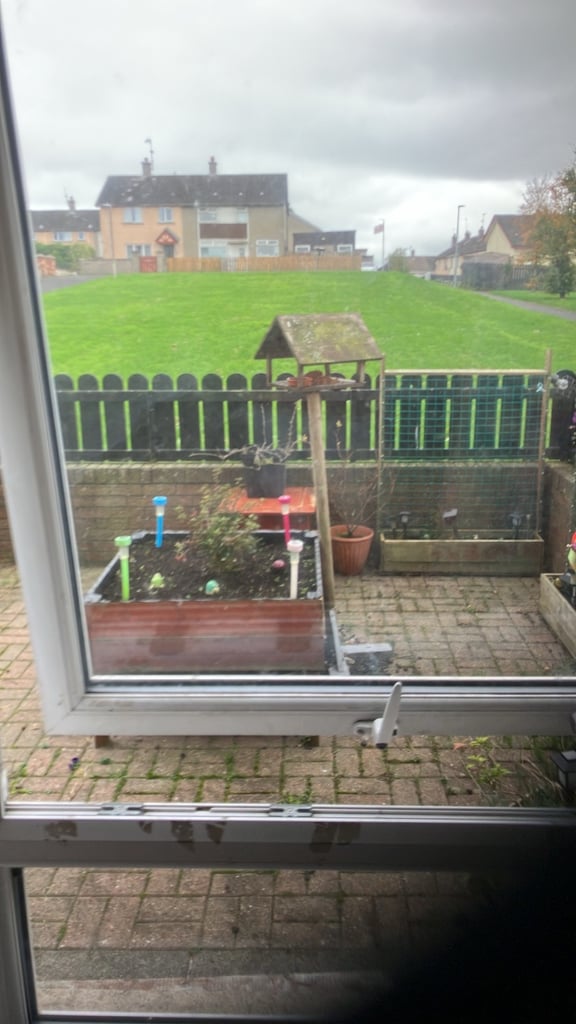 image for One bedroom flat swap Banbridge 