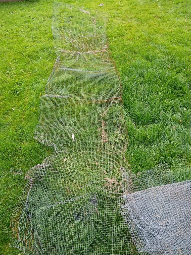 image for Chicken wire.  Used. 