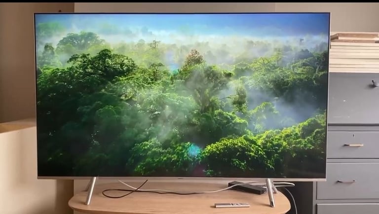Samsung 65 inch TV