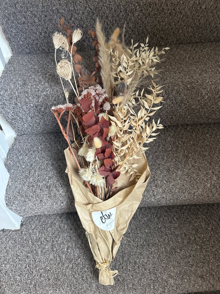 🌾 Natural Dried Pampas Grass – Fluffy Beige Stems (Set) 🌾